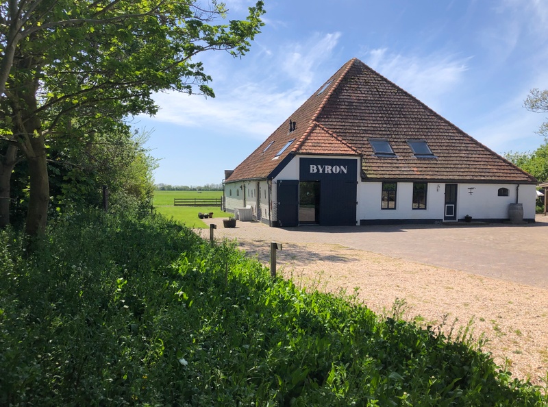 De Oostkaap - Wulp – afbeelding 5