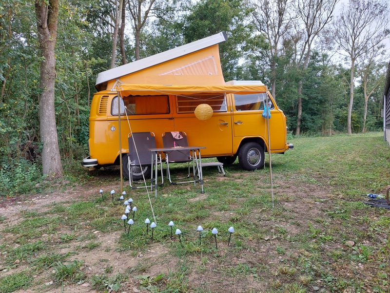 Texel Camperplaats – afbeelding 3