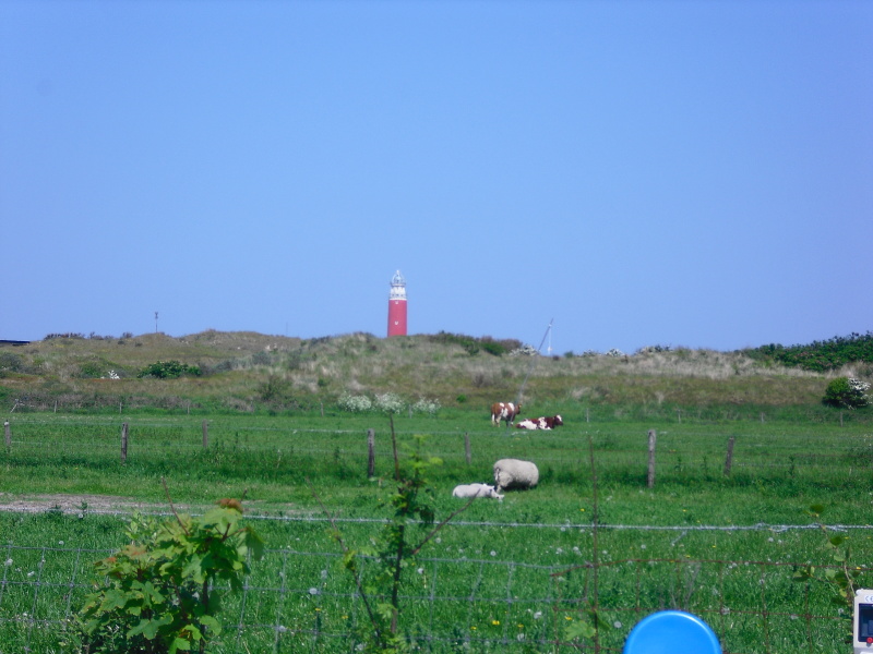 Boerderijcamping De Duinen - Kampeerplaats – afbeelding 3
