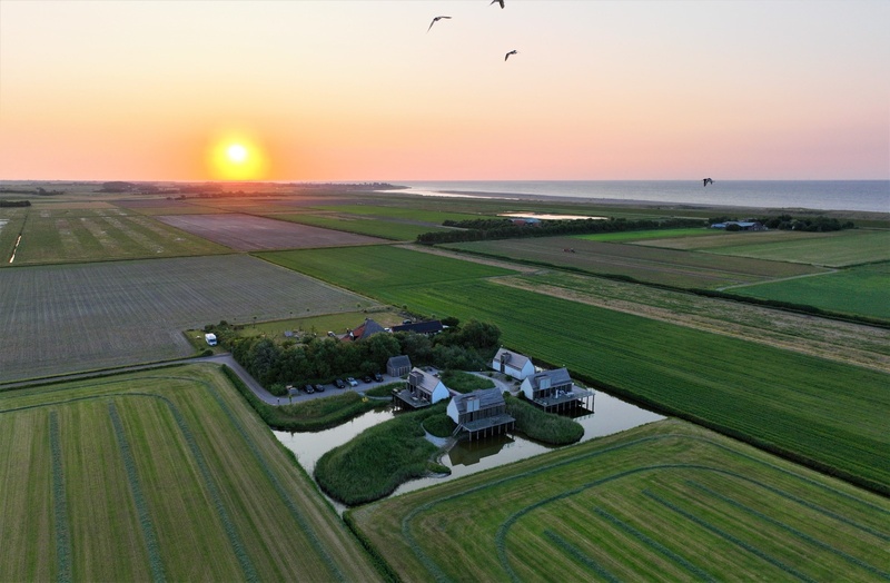 De Waddenhof - Ruimte op Texel – afbeelding 3