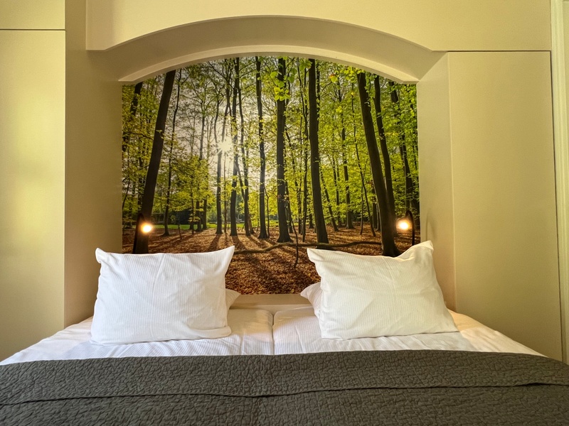 Deluxe kamer – afbeelding 3