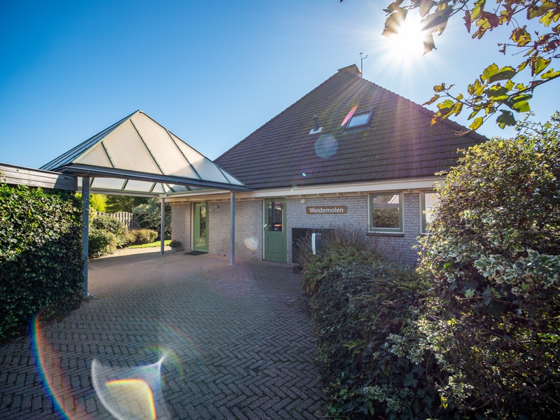 Weidemolen – afbeelding 2