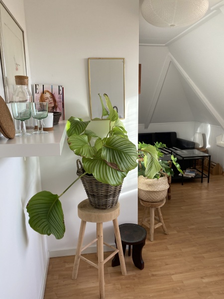 Tweepersoons studio 2/3 – afbeelding 5