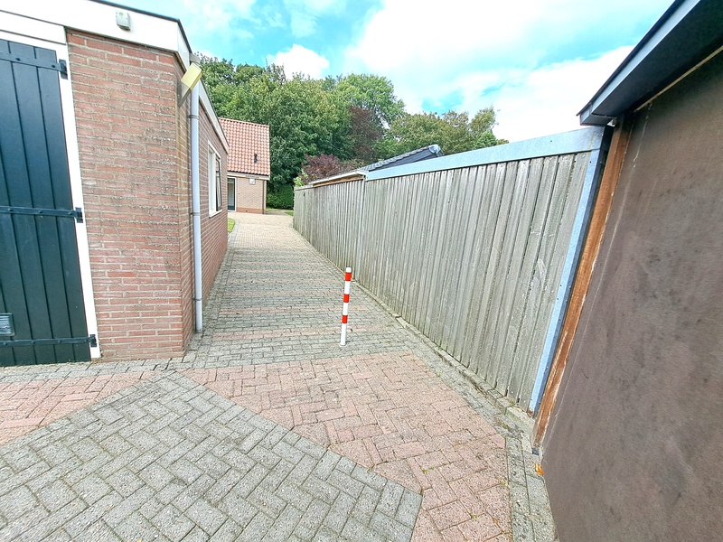 Koperwiek – afbeelding 5