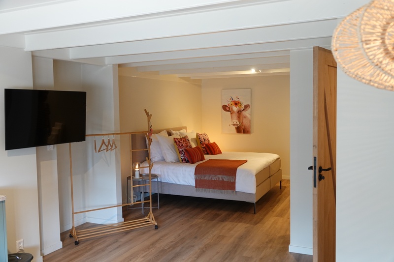 B&B de Vrije Vogel - Boerenkamer Terraskamer – afbeelding 5