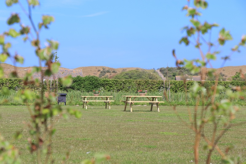 Camping Slufterhoeve – afbeelding 5