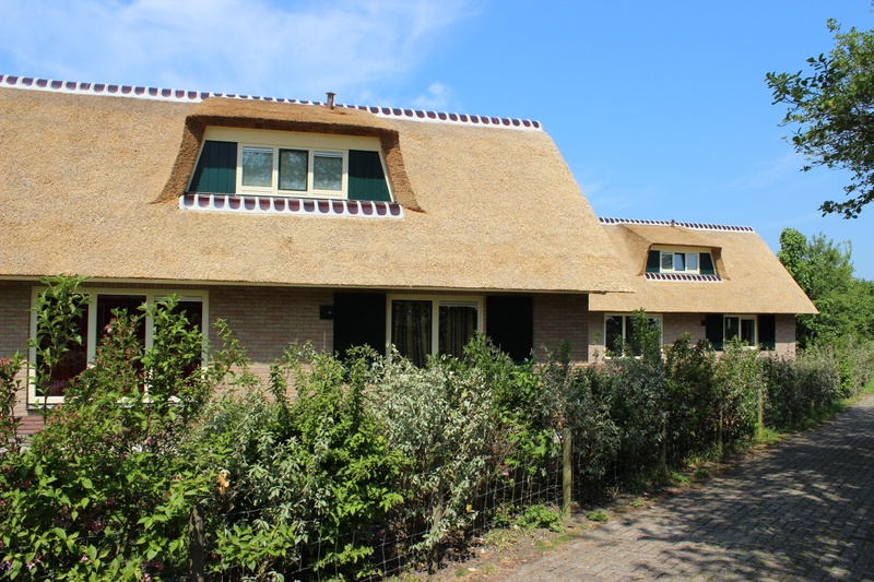 Vakantiehuis De Luxe Nr. 8 – afbeelding 4