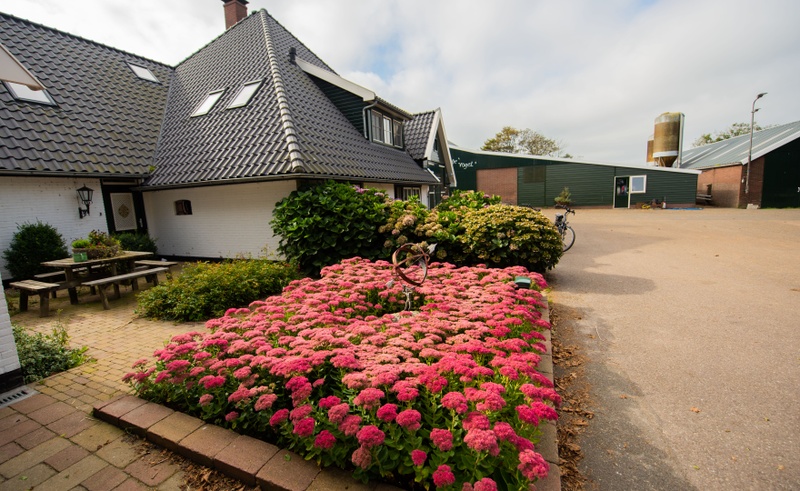 B&B de Vrije Vogel - Boerenkamer Melkmeisje – afbeelding 2
