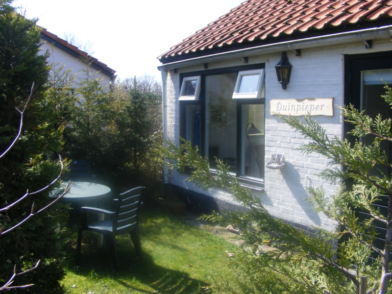 Duinpieper – afbeelding 2