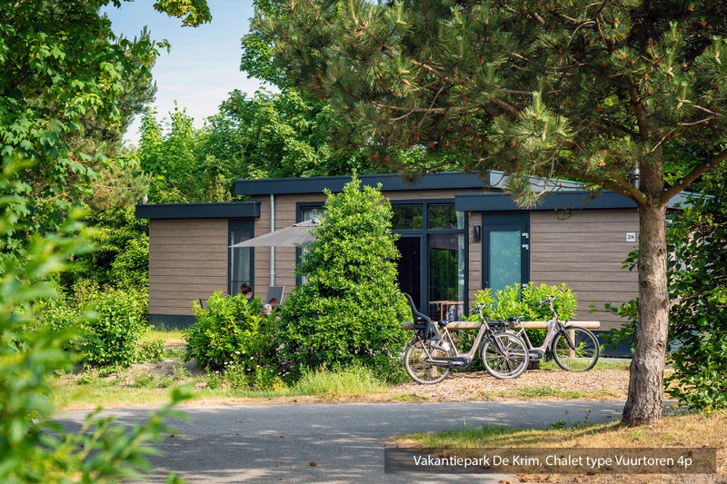 Chalet Type Vuurtoren – afbeelding 3