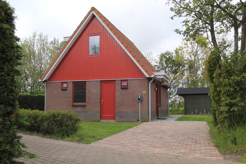 Type II+ - nr. 77 Goudvink – afbeelding 2