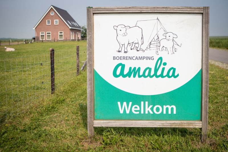 Minicamping Hoeve Amalia – afbeelding 5