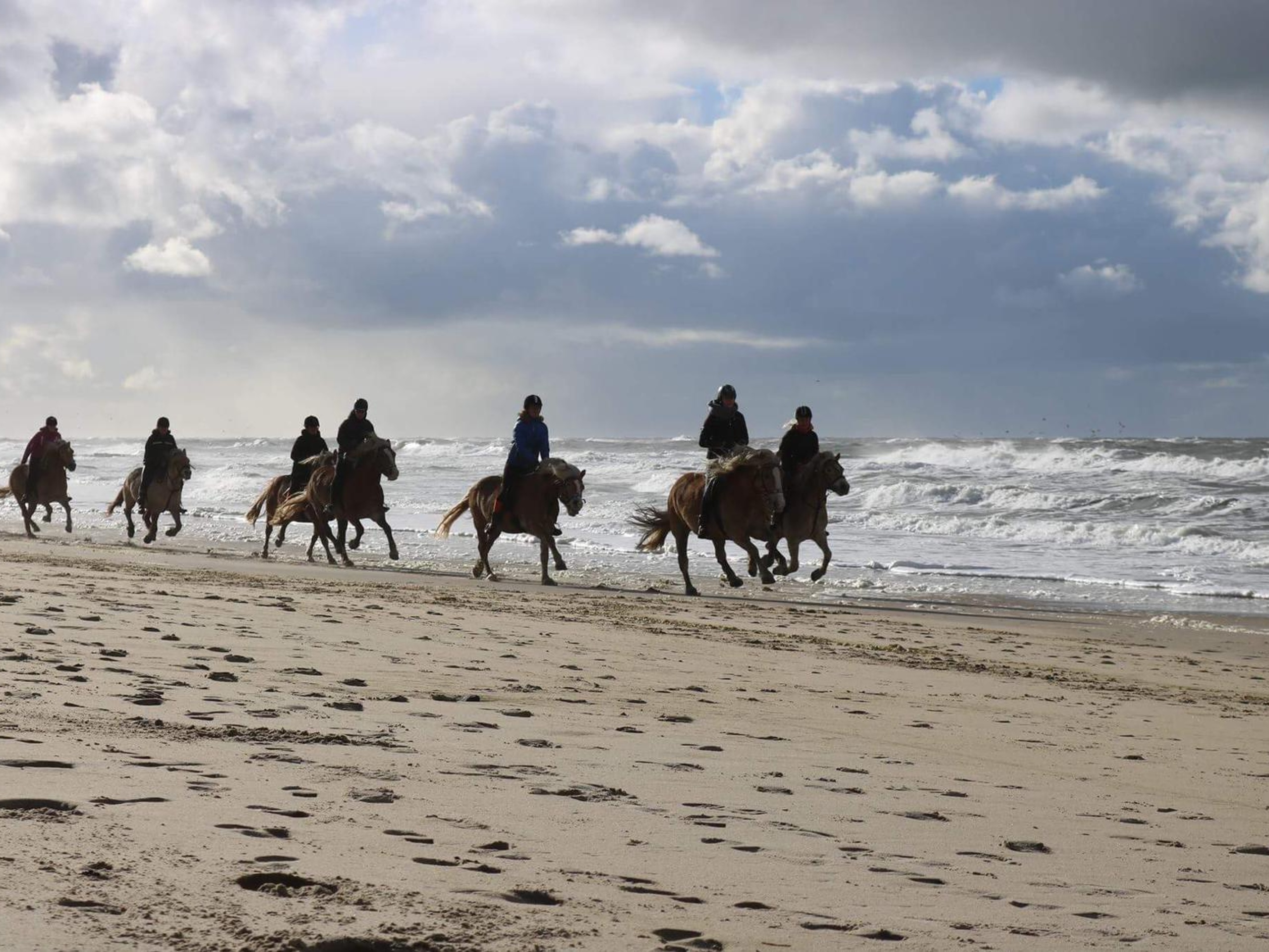 Paardrijden bij Manege Elzenhof - VVV Texel