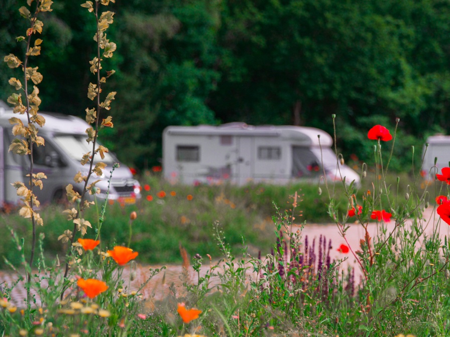 Camperplaats XL zonder hond