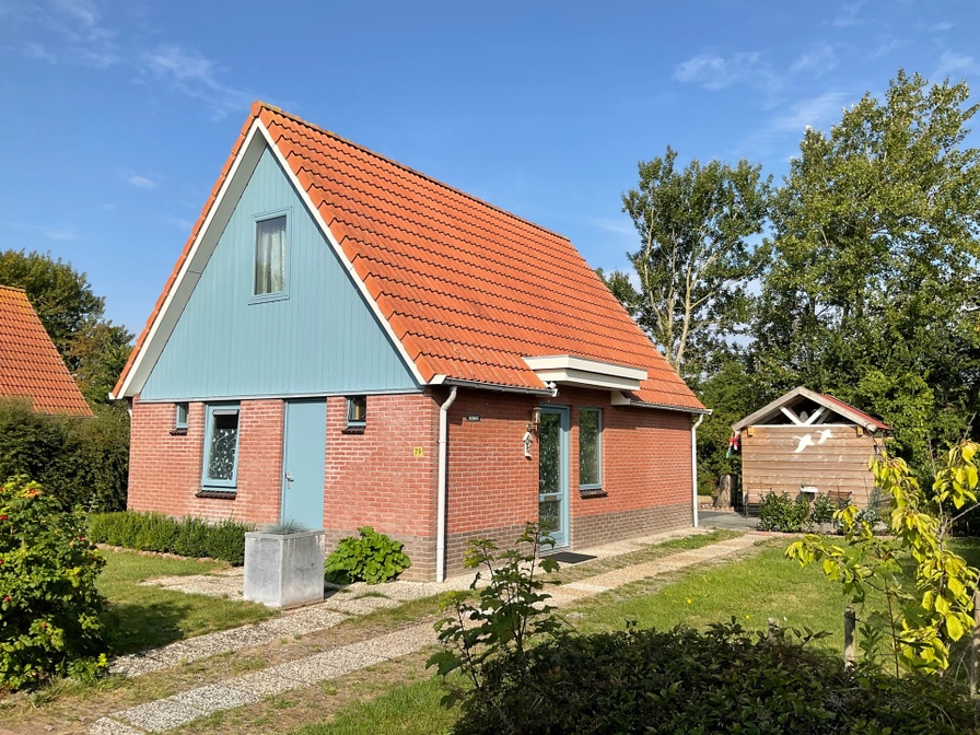 Type II - nr. 79 Zilvermeeuw – afbeelding 5