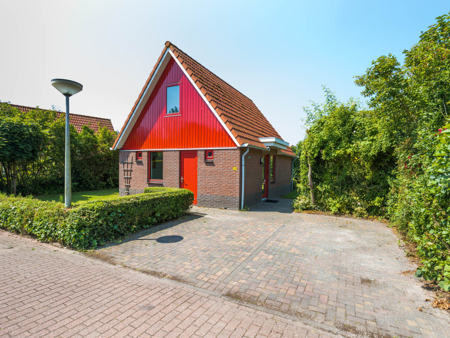 Type II+ - nr. 35 Skor