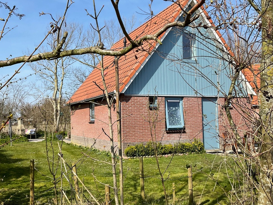 Type II - nr. 79 Zilvermeeuw