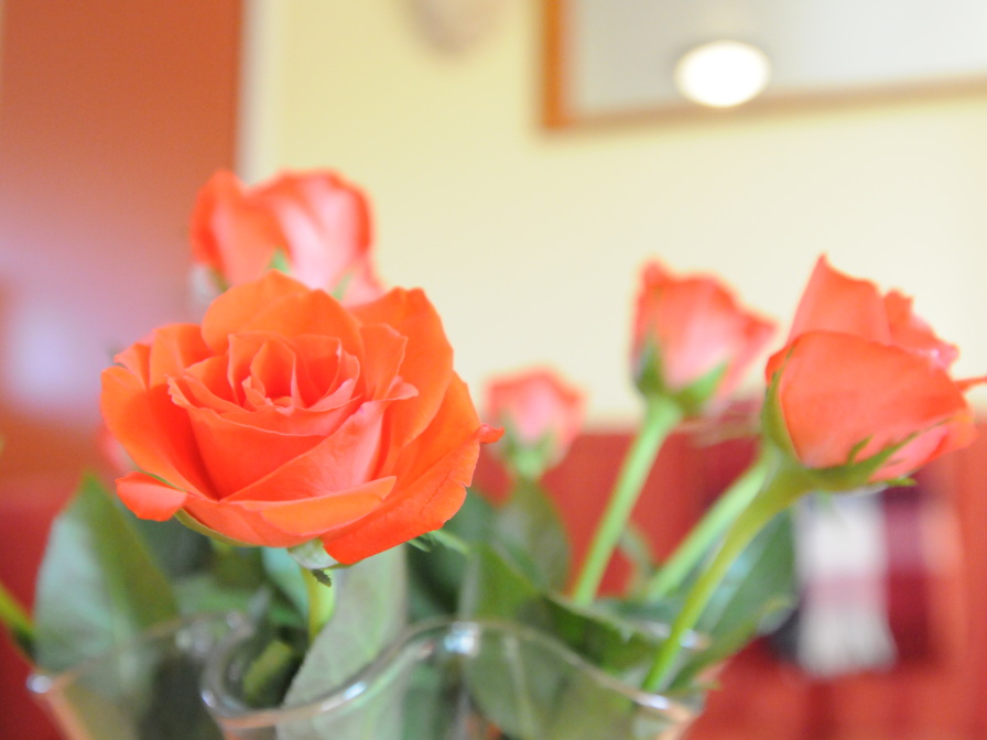 Appartement Rood – afbeelding 3