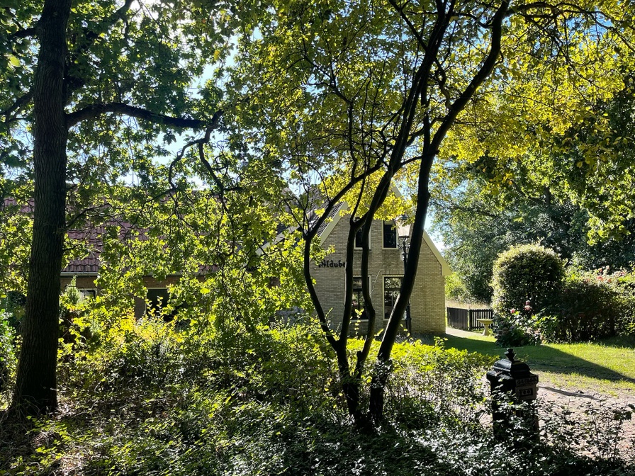 Bungalowverhuur Aldubo - Vakantiehuis Aldubo – afbeelding 4