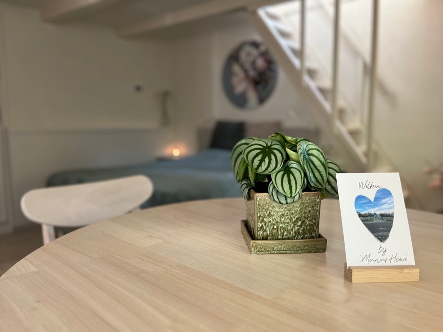 Appartement 1 – afbeelding 5