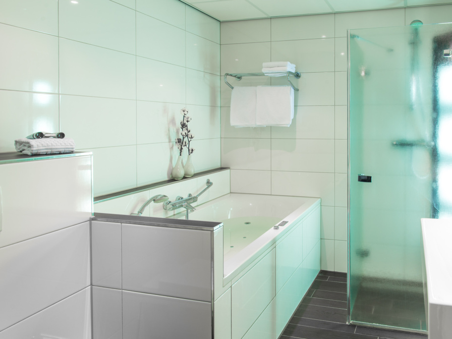 Tweepersoons Superior Kamer - Douche/toilet