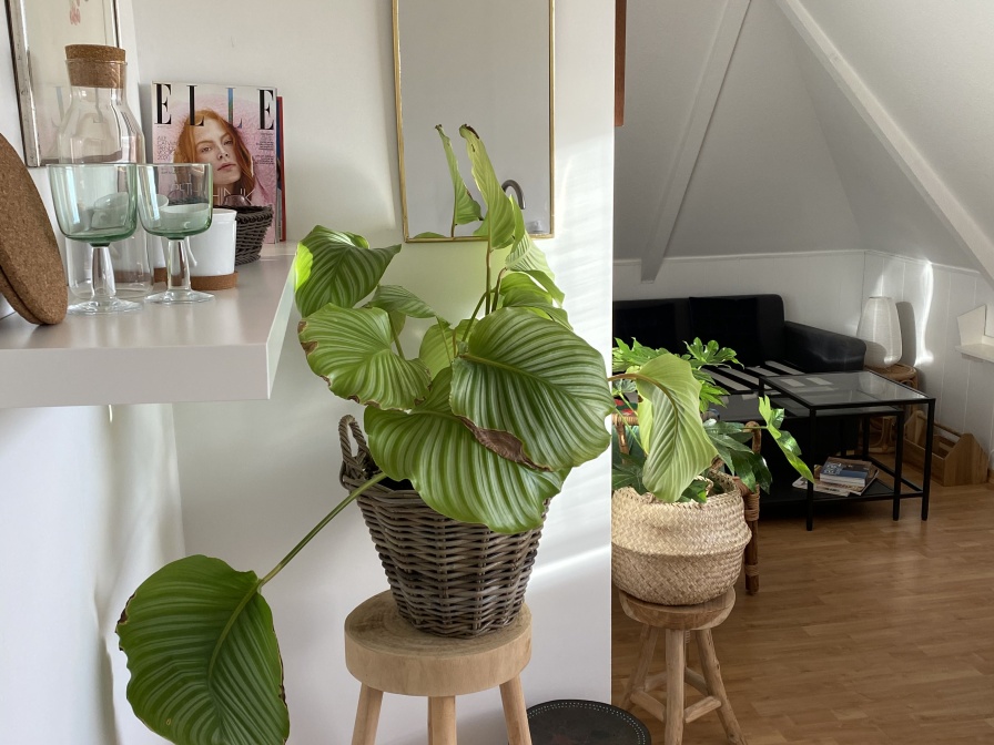 Tweepersoons studio 2/3 – afbeelding 4