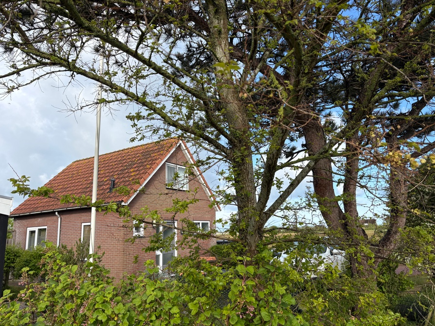 Vakantiehuis De Meidoorn