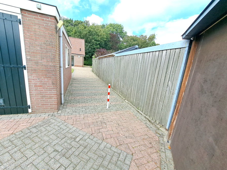 Koperwiek – afbeelding 4