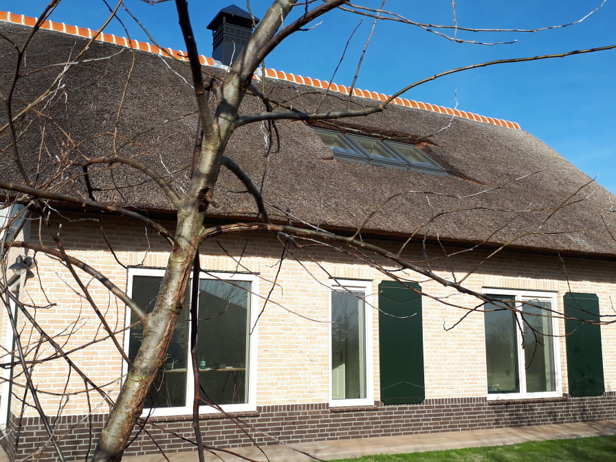 De Conifeer – afbeelding 3