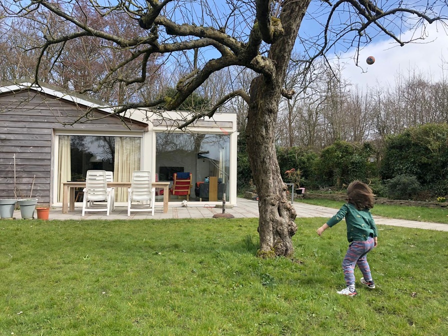 Bijenkorfweg 29 – afbeelding 3