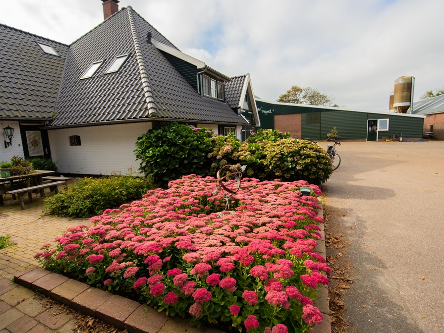 B&B de Vrije Vogel - Boerenkamer Melkmeisje
